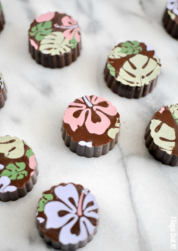 Dulcey Ganache Cups with Chocolate Transfer